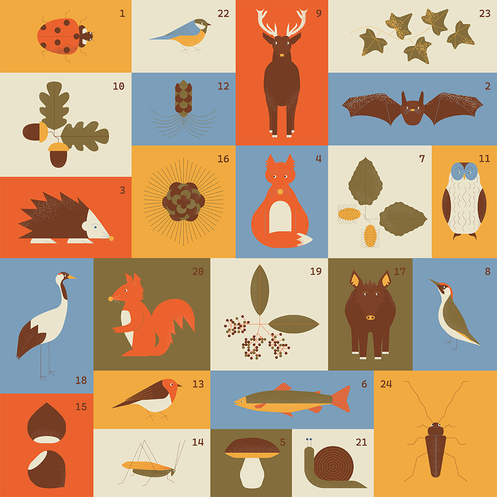 Facilitation_graphique_Lescure_Elodie_graphiste_calendrier_nature_pedagogique