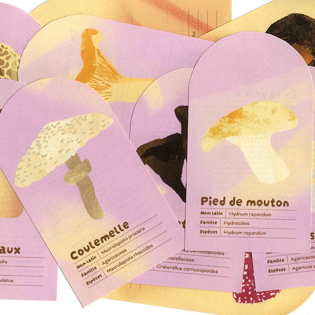 Facilitation_graphique_Lescure_Elodie_graphiste_Cartes_Champignons_graphiste