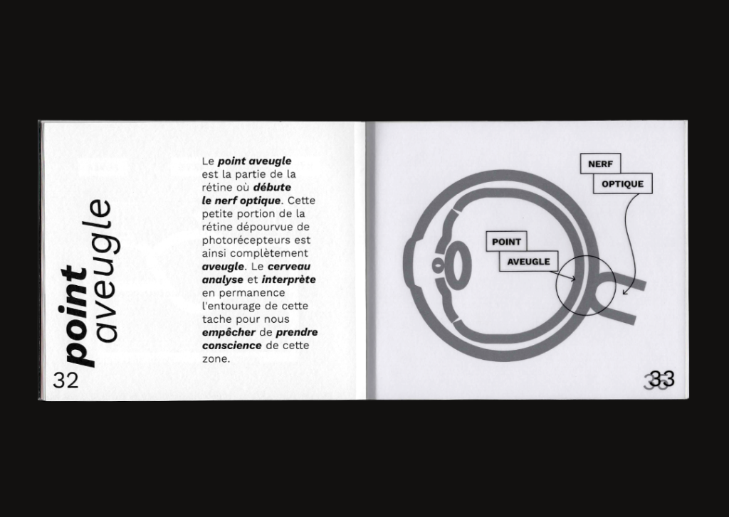 Identite_graphique_Lescure_Elodie_graphiste_Annecy_En_perdre_la_vue_livret_explication_ouvert