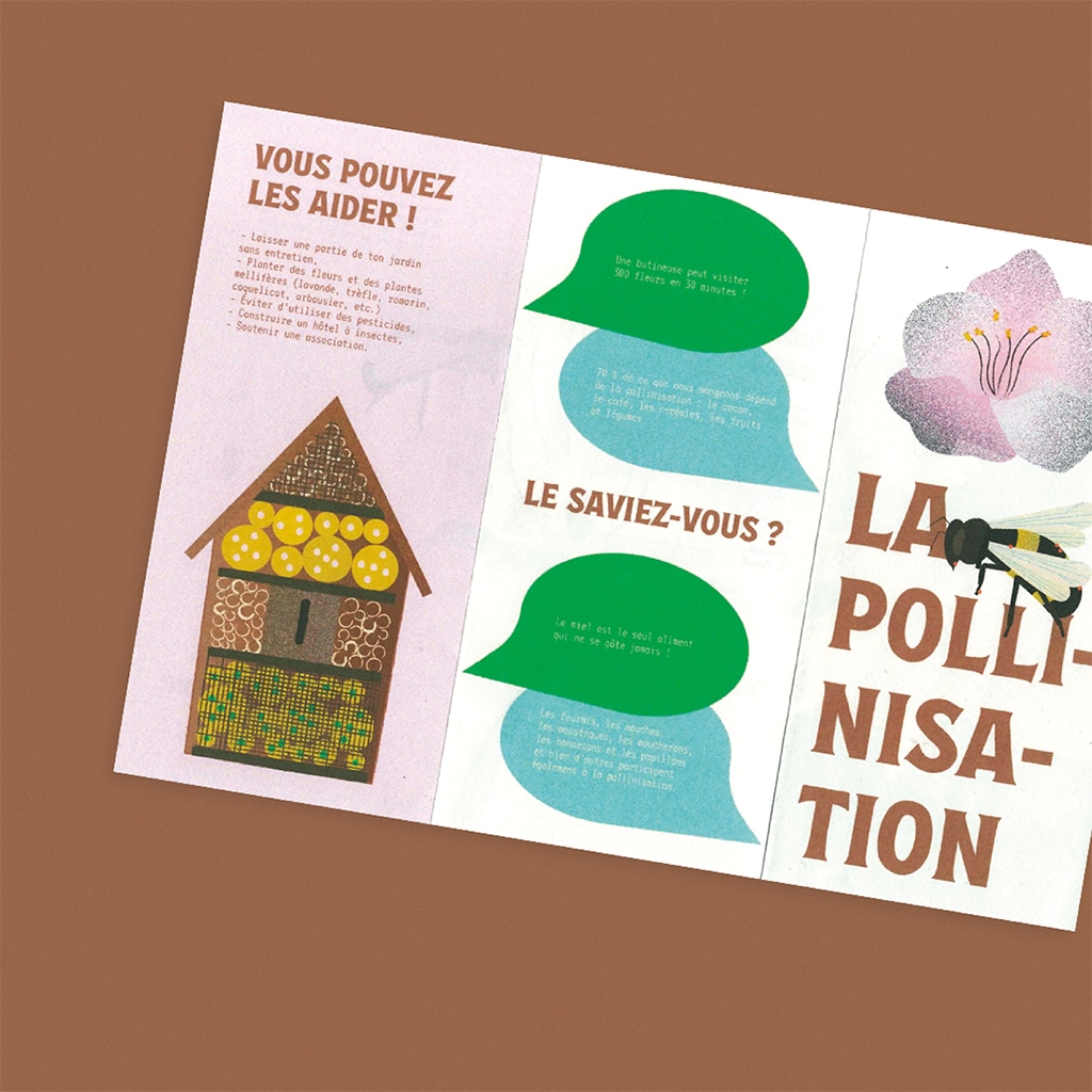 Support_imprimés_Pollinisation_dépliant_pedagogie_Elodie_Lescure_Annecy_graphiste
