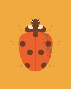 Lire la suite à propos de l’article Quand l&rsquo;hiver approche