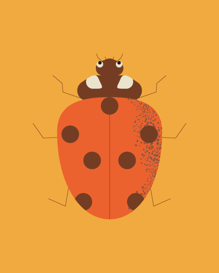 Lire la suite à propos de l’article Quand l&rsquo;hiver approche