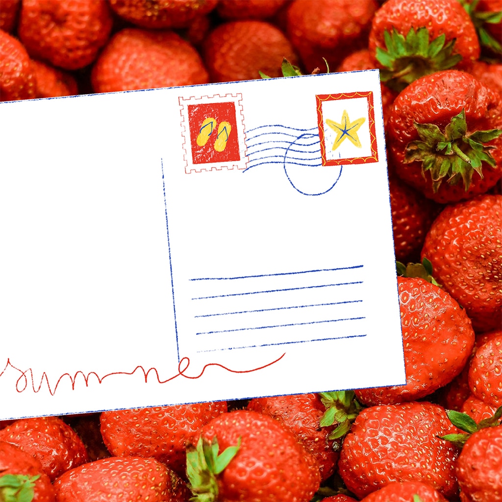 Supports_imprimés_timbres_Elodie_Lescure_graphiste