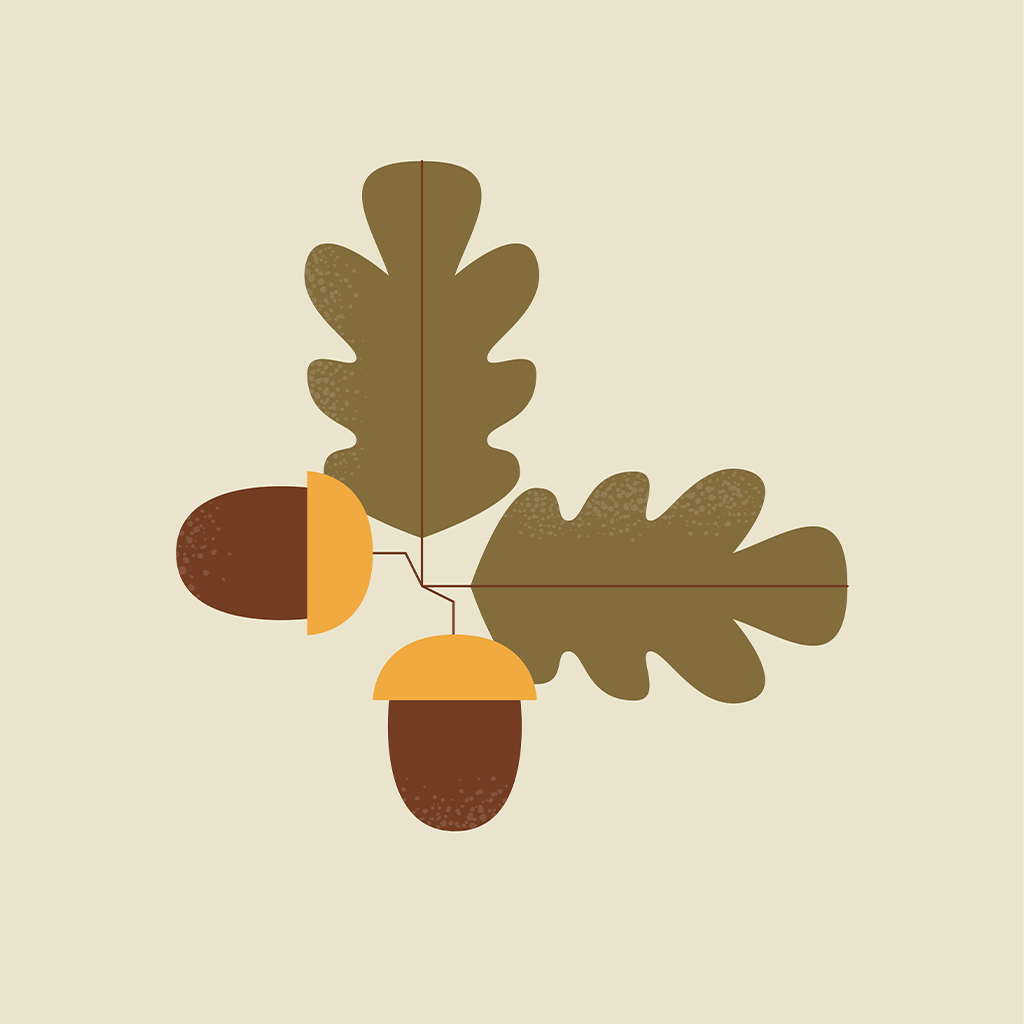 Facilitation_graphique_Lescure_Elodie_graphiste_illustration_calendrier_nature