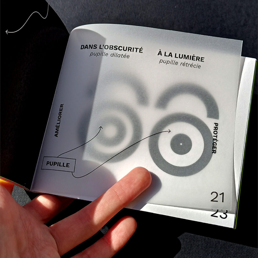 Identite_graphique_Lescure_Elodie_graphiste_Annecy_En_perdre_la_vue_calque