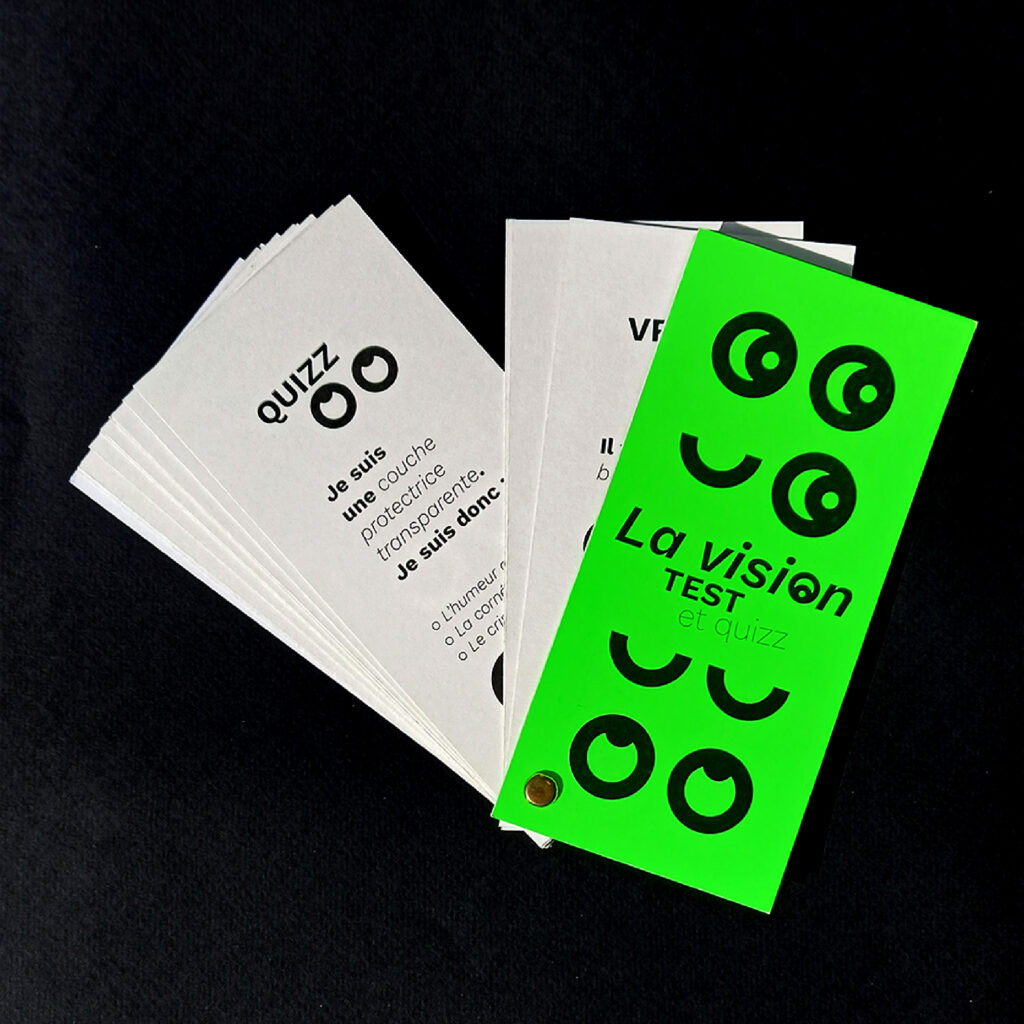 Identite_graphique_Lescure_Elodie_graphiste_Annecy_En_perdre_la_vue_vrai_faux_carnet