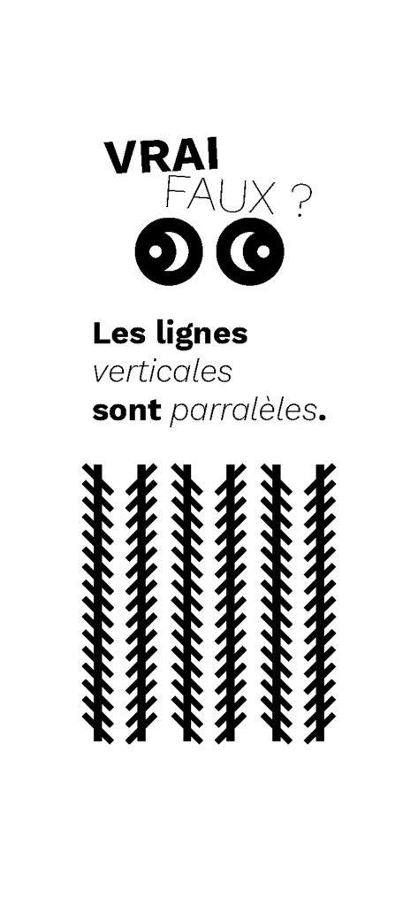 Identite_graphique_Lescure_Elodie_graphiste_Annecy_En_perdre_la_vue_vrai_faux