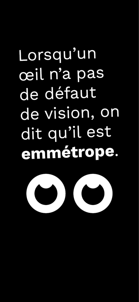 Identite_graphique_Lescure_Elodie_graphiste_Annecy_En_perdre_la_vue_reponse