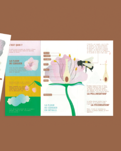 Lire la suite à propos de l’article Bzzz