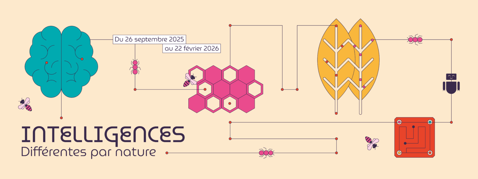 Identite_graphique_Lescure_Elodie_graphiste_Intelligences_Turbine_Sciences_Annecy_banniere