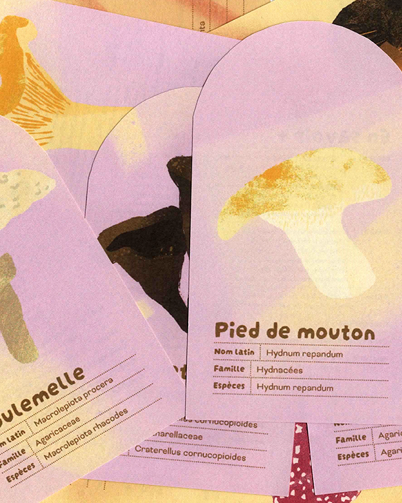 Lire la suite à propos de l’article Cueillette automnale