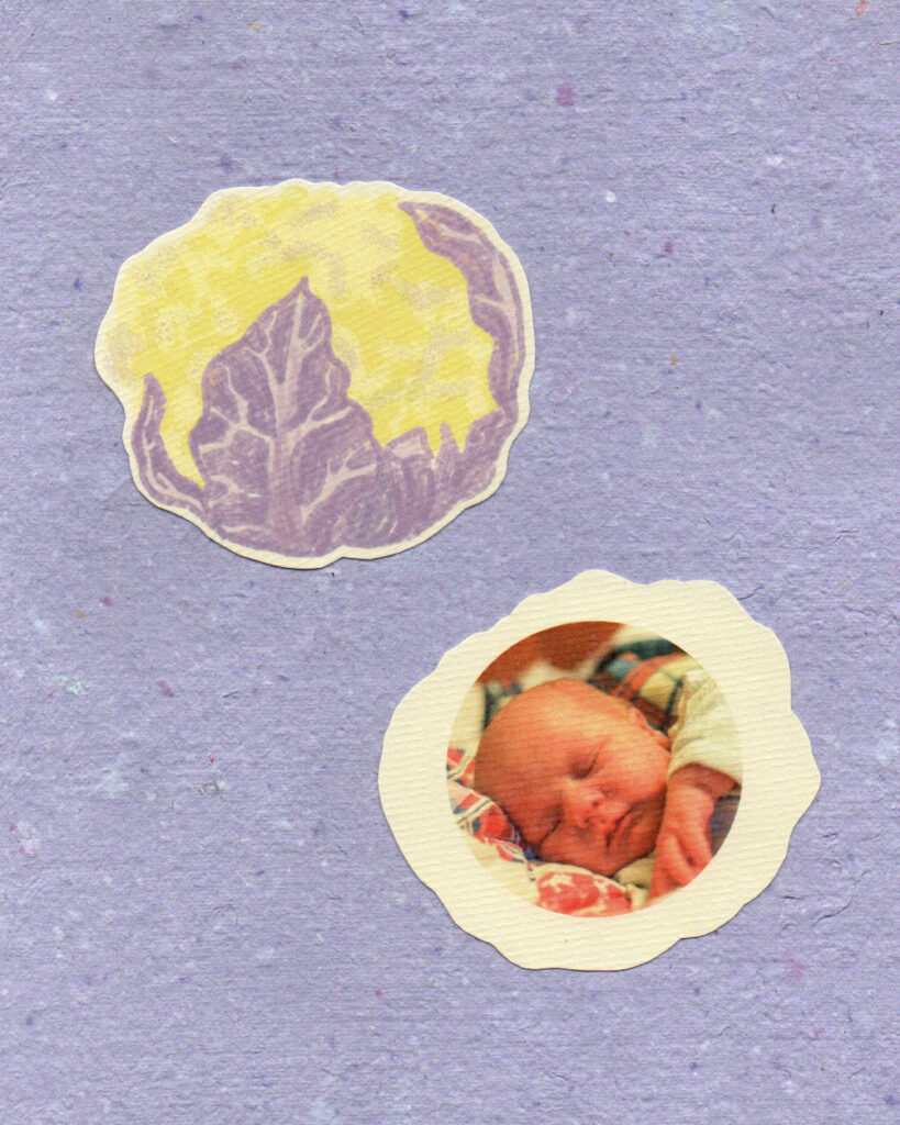 Papeterie_Lescure_Elodie_graphiste_Annecy_faire_part_naissance