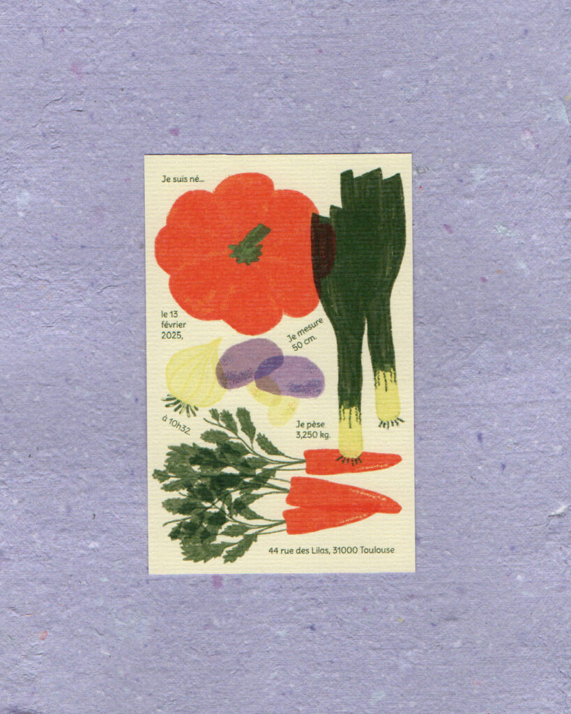 Papeterie_Lescure_Elodie_graphiste_Annecy_faire_part_naissance_maraichers_A6