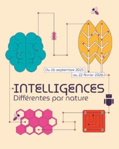 Lire la suite à propos de l’article Intelligences