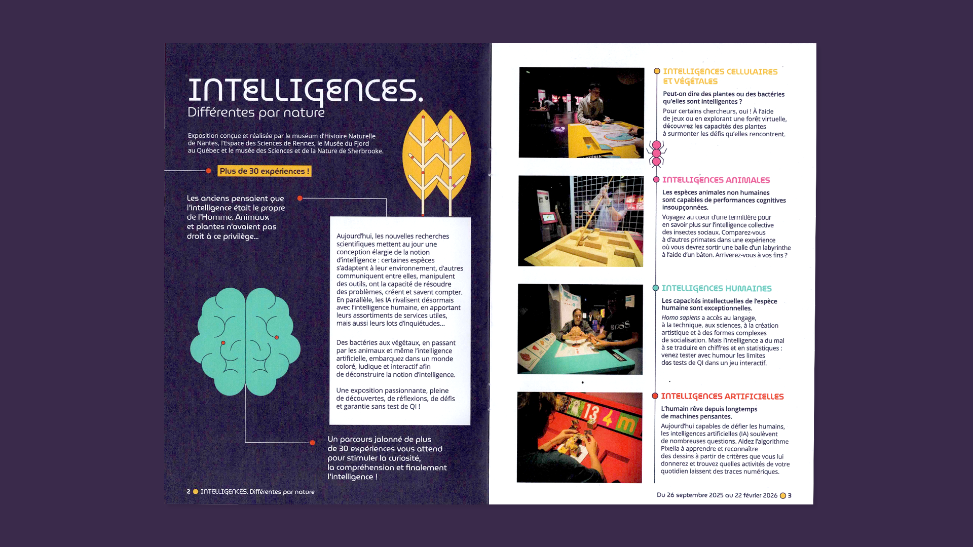 Identite_graphique_Lescure_Elodie_graphiste_Intelligences_Turbine_Sciences_Annecy_banniere_programme