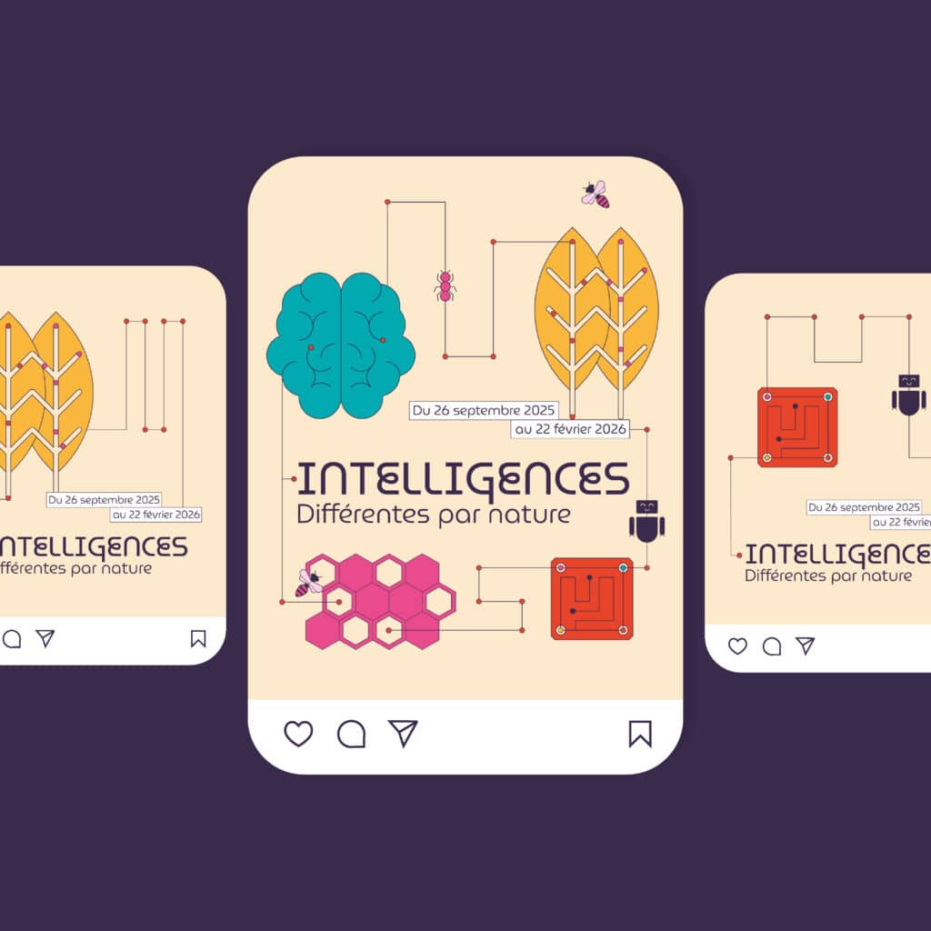 Supports_numériques_Lescure_Elodie_graphiste_réseaux_sociaux_Intelligences_Turbine_Annecy