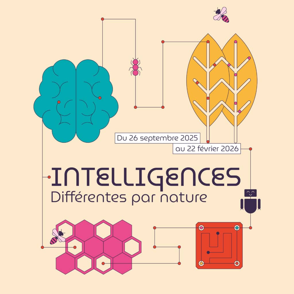 Identite_visuelle_Intelligences_Graphiste_Elodie_Lescure_Annecy