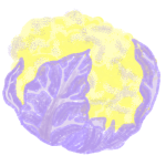 Papeterie_Lescure_Elodie_graphiste_Annecy_faire_part_naissance_choux