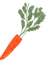 Papeterie_Lescure_Elodie_graphiste_Annecy_faire_part_naissance_carotte